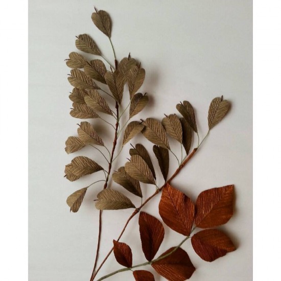 Hartie Creponata DACO, 50x200 cm, 10 Buc/Set, Maro Deschis, Hartie Creponata, Set Hartie Creponata, Rola Hartie Creponata Colorata, Role Hartie Creponata, Foi Hartie Creponata, Hartie Colorata Creponata, Rechizite Scolare, Papetarie