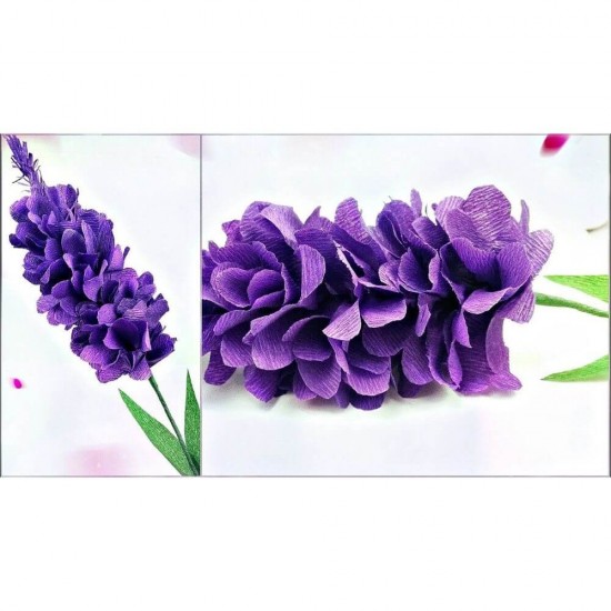 Hartie Creponata DACO, 50x200 cm, 10 Buc/Set, Mov, Hartie Creponata, Set Hartie Creponata, Rola Hartie Creponata Colorata, Role Hartie Creponata, Foi Hartie Creponata, Hartie Colorata Creponata, Rechizite Scolare, Papetarie