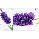 Hartie Creponata DACO, 50x200 cm, 10 Buc/Set, Mov, Hartie Creponata, Set Hartie Creponata, Rola Hartie Creponata Colorata, Role Hartie Creponata, Foi Hartie Creponata, Hartie Colorata Creponata, Rechizite Scolare, Papetarie