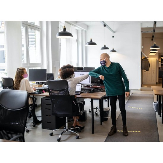 Mapa A5 Plic Daco, cu Capsa, Plastic, Transparenta, Mapa Plastic, Mape Plic, Mape cu Capsa, Mapa cu Capsa, Mape Plastic, Mape Documente, Mape Daco, Mape Transparente, Mapa Documente, Mapa Portofoliu, Mape Portofoliu, Mapa Acte