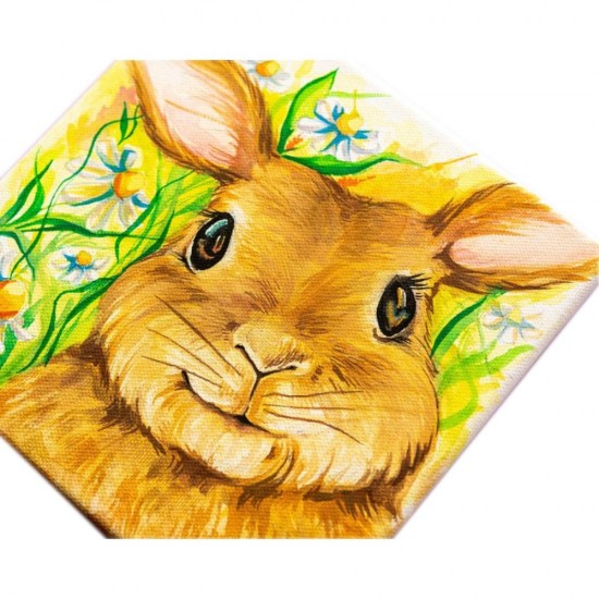 Panza pentru Pictura pe Carton Daco, Dimensiune 10x12 cm