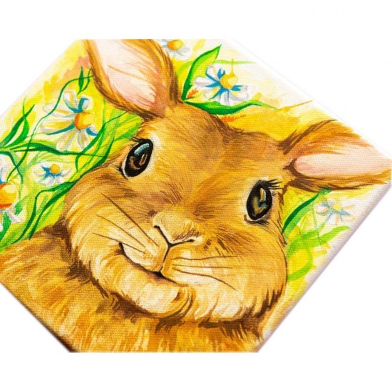 Panza pentru Pictura pe Sasiu Daco, Dimensiune 20x30 cm