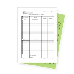 Raport  Gestiune Zilnic Autocopiativ L03479