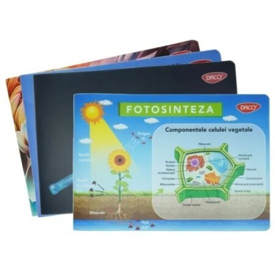 Caiet Biologie DACO, Dimensiuni 17x24 cm, 24 File, Coperta din Plastic, Diferite Culori: Albastru, Roz, Verde, Gri