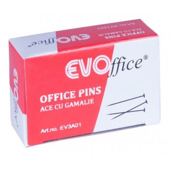 Ace cu Gamalie EVOffice 25 mm, 15 g/Cutie - Bolduri Notite