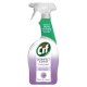 Dezinfectant Universal Cif Disinfect &amp; Shine Flori de Camp, 750 ml