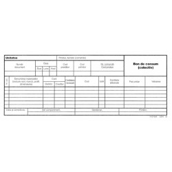 Bon de Consum Colectiv 1/3 A4, 100 File/Carnet - Formulare Tipizate Nepersonalizate