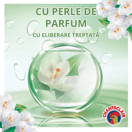 Balsam Rufe Concentrat, Chanteclair, Muschio Bianco, 1.4 L, 70 Spalari