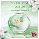 Balsam Rufe Concentrat, Chanteclair, Muschio Bianco, 1.4 L, 70 Spalari