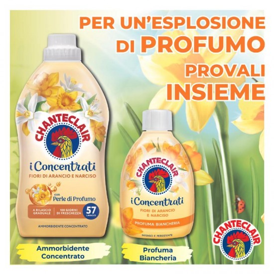 Balsam De Rufe Concentrat Chanteclair Flori Portocalii Si Narcis, 1.4l, 70 Spalari