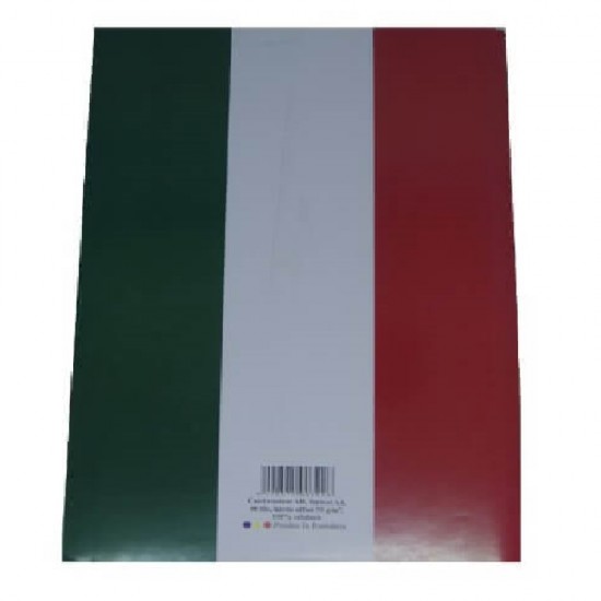 Caiet Matematica A4 cu Margine Liniata, 48 File - Liniatura cu Patratele
