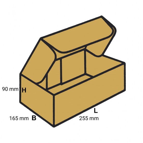 Cutie Autoformanta Cu Clapeta Din Carton Co3,dim 255x165x90mm,structura Ctft 420g