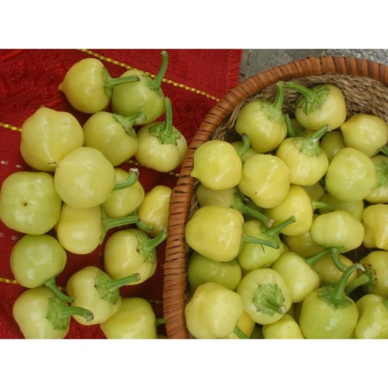 Gogosari Albi Picanti in Otet Naturavit, 720 ml