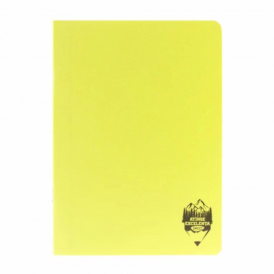 Caiet A4 Dictando (DR) Atinge Excelenta DACO, 100 File, 70 g/m², Coperta din Plastic Diverse Culori