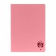 Caiet A4 Dictando (DR) Atinge Excelenta DACO, 100 File, 70 g/m², Coperta din Plastic Diverse Culori