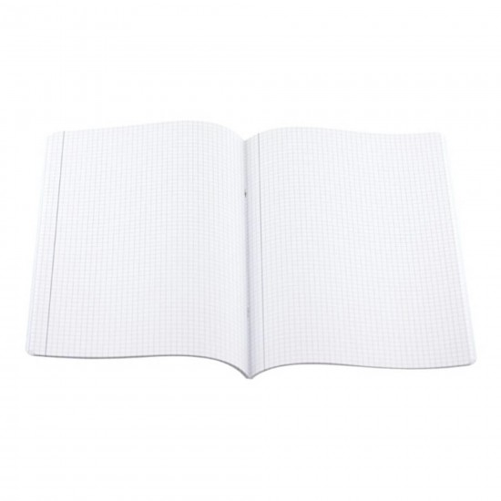 Caiet A4 Dictando (DR) Atinge Excelenta DACO, 100 File, 70 g/m², Coperta din Plastic Diverse Culori