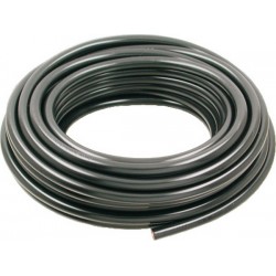 Fisa Bujie Drujba 1m -