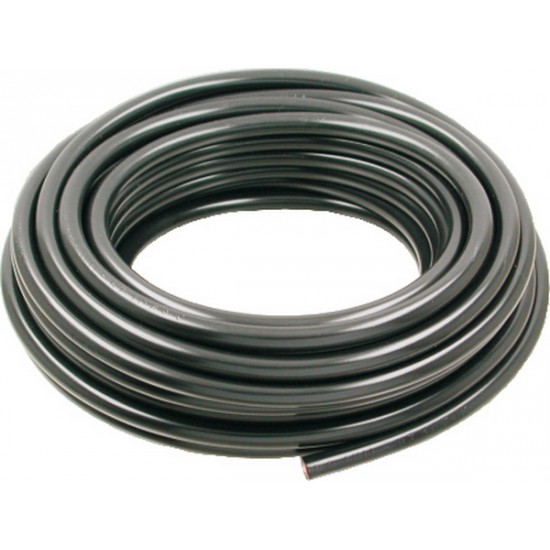 Fisa Bujie Drujba 1m -