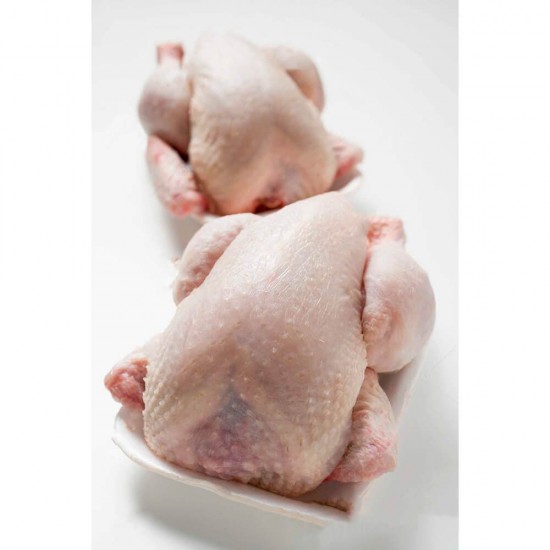 Set 500 Tavite Polistiren CT2 STD Albe, 210x165x23 mm