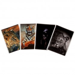 Caiet A5, 48 File, 80gsm, Coperta Carton 300gsm, Design Animals - Matematica