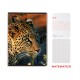 Caiet A5, 48 File, 80gsm, Coperta Carton 300gsm, Design Animals - Matematica