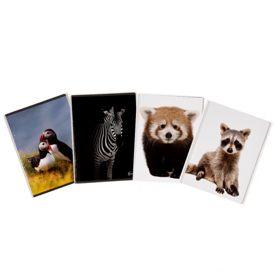 Caiet A5, 48 File, 80gsm, Coperta Carton 300gsm, Design Animals - Dictando