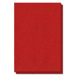 Coperti Indosariere EVOffice din Carton Tip Imitatie Piele A4, Culoare Rosu, 250 g/mÂ², 100 Coli/Top - Accesorii Indosariat