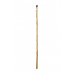 Coada Lemn Eucalipt Lacuit Zorex Pro, Lungime 120 cm, Filet Italian, Culoare Natur, Coada Mop din Lemn Lacuit, Coada de Lemn pentru Matura, Coada din Lemn pentru Mop, Cozi de Lemn pentru Matura, Cozi Maturi si Mopuri, Articole Curatenie