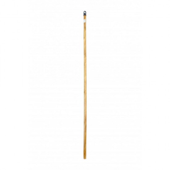 Coada Lemn Eucalipt Lacuit Zorex Pro, Lungime 120 cm, Filet Italian, Culoare Natur, Coada Mop din Lemn Lacuit, Coada de Lemn pentru Matura, Coada din Lemn pentru Mop, Cozi de Lemn pentru Matura, Cozi Maturi si Mopuri, Articole Curatenie