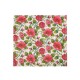 Servetele de Masa Decorative in 2 Straturi, 33x33 cm, 20 Servetele/Set, Multicolor, Diverse Modele, Pachete Servetele Decorative, Servetele Decorative cu Flori, Servetele Evenimente, Servetele Festive, Servetele Ocazii, Servetele Decorative