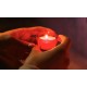 Candela Parafina fara Capac, 4 Buc/Set, Timp Ardere 48 h, 55x48 mm, Cutie Rosie, Lumanare Candela Tip 5, Lumanari si Candele, Candele din Parafina, Candele pentru Exterior, Candele pentru Sarbatori, Candele Fara Capac la Set