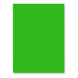 Hartie Cartonata A4 GOLDPAPER, 100 Coli/Top, Verde, 160 g/mÂ², 297x210 mm, Hartie Cartonata Verde A4, Hartie Cartonata Decorativa, Hartie Cartonata pentru Invitatii, Hartie Cartonata Groasa, Hartie Cartonata Colorata, Top Hartie Cartonata