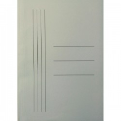 Dosar A4 cu Sina din Carton, 30 Buc/Set, Verde Deschis, Dosar cu Sina, Plic pentru Documente, Dosar pentru Organizat