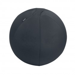 Minge Ergonomica Leitz Ergo, Pentru Sezut Sau Fitness, Cu Functie De Oprire, 55 Cm, Gri-carbune