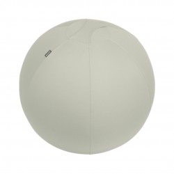 Minge Ergonomica Leitz Ergo, Pentru Sezut Sau Fitness, Cu Functie De Oprire, 65 Cm, Gri-pastel