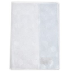 Coperta Vocabular Transparenta