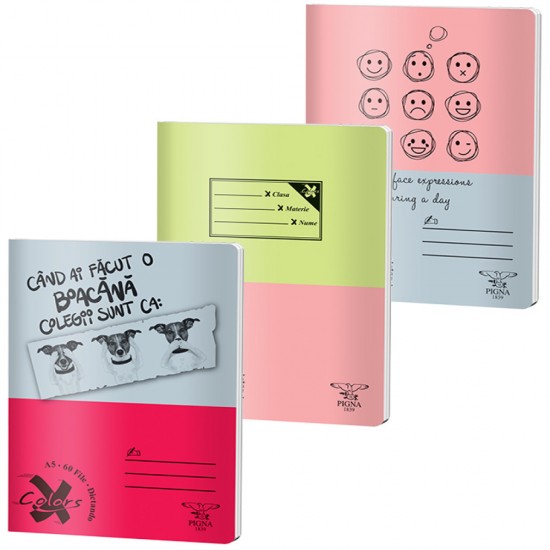 Caiet A5 60 File Dictando Basic Pigna