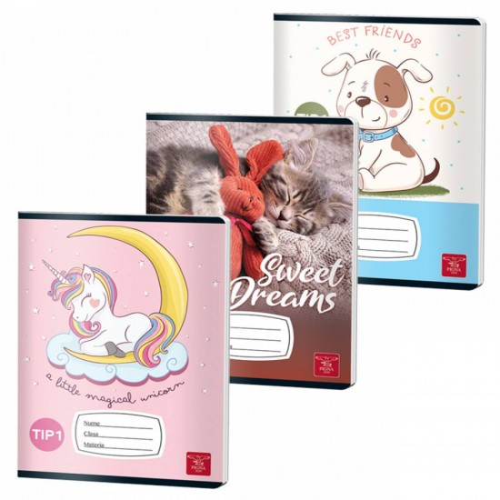 Caiet Tip I 24 File Color Pigna