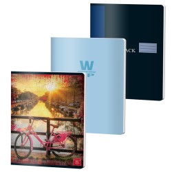 Caiet A4 100 File Dictando Color 230g Pigna