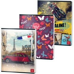 Caiet A4 48 File Dictando Color Pigna