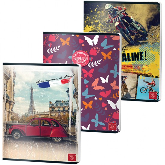 Caiet A4 48 File Dictando Color Pigna