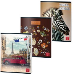 Caiet A5 48 File Aritmetica Color Pigna