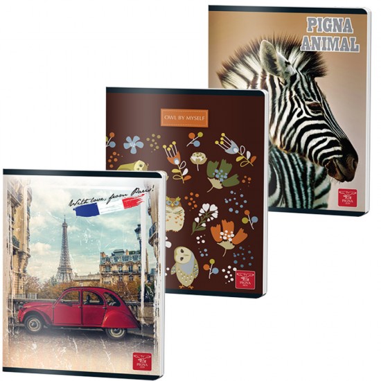 Caiet A5 48 File Aritmetica Color Pigna