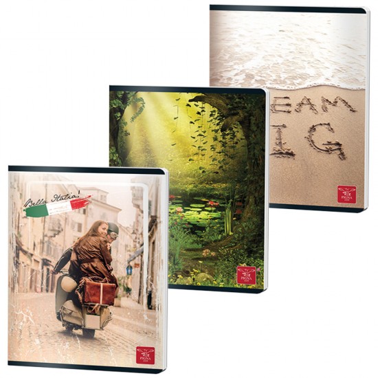 Caiet A5 80 File Dictando Color Pigna