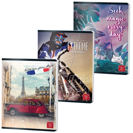 Caiet A5 80 File Aritmetica Color Pigna