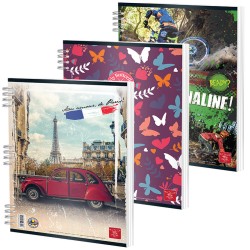 Caiet Spira A4 50 File Dictando Color Pigna