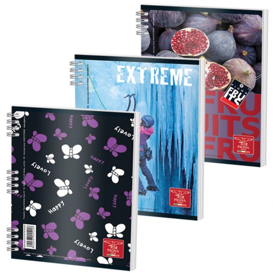 Caiet Spira A5 50 File Aritmetica Color Pigna