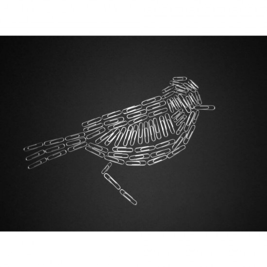 Agrafe Metalice Deli, 50 mm, 100 Buc/Cutie, Set Agrafe de Metal, Set Agrafe Metal, Set Agrafe Birou, Set Agrafe de Birou, Set Agrafe pentru Birou, Set Agrafe Hartii, Set Agrafe pentru Hartii, Set Agrafe de Hartie, Set Agrafe Metal 50 mm