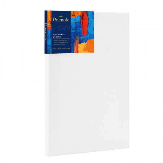 PANZA PENTRU PICTURA PE SASIU 20*30CM DELI