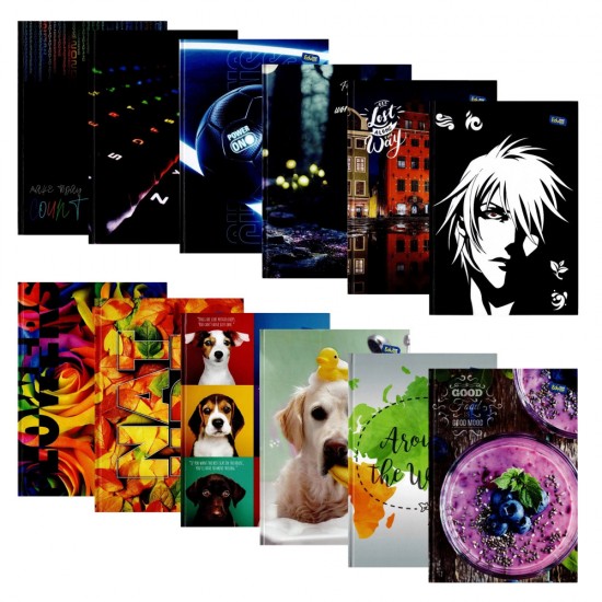 Registru A4 96 File Dictando Diverse Modele Educa